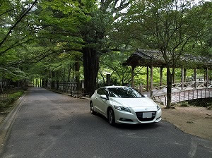 CR-Z