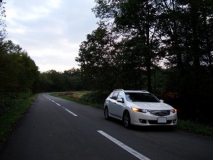 AR[hcA[