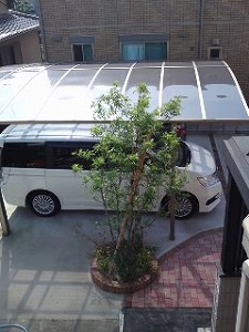 XebvS