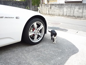 S2000