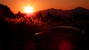 VrbNTYPE R