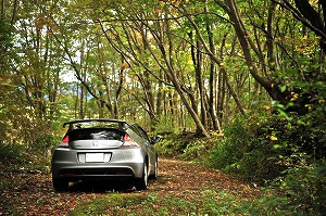 CR-Z