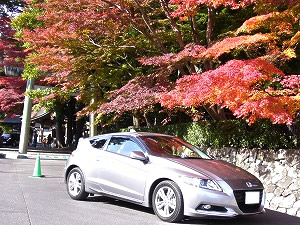 CR-Z