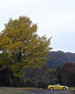 S2000