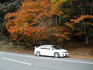 VrbNTYPE R