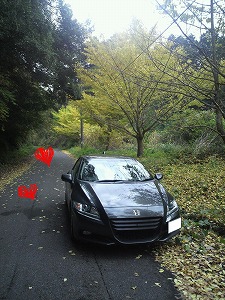 CR-Z