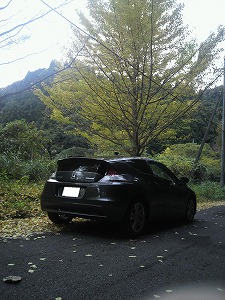 CR-Z