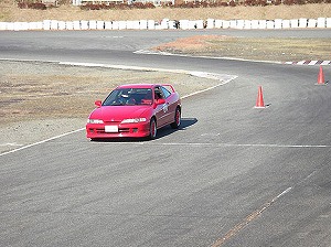 CeOTYPE R