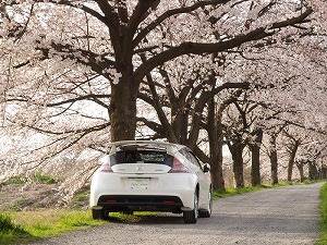 CR-Z