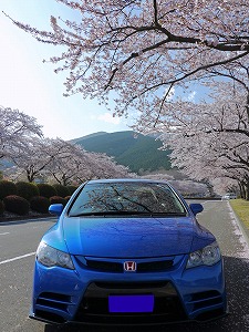 VrbNTYPE R