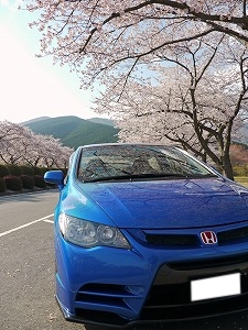 VrbNTYPE R