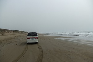 XebvS