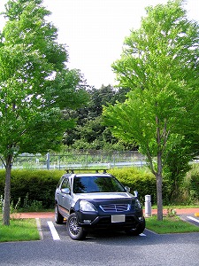 CR-V