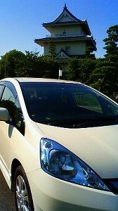 tBbg Vg