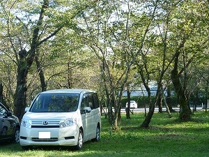XebvS