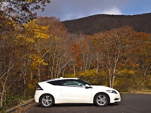 CR-Z