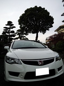 VrbNTYPE R