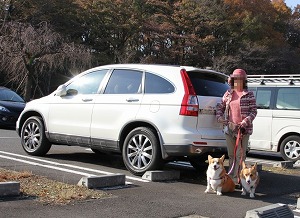 CR-V