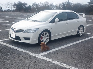 VrbNTYPE R