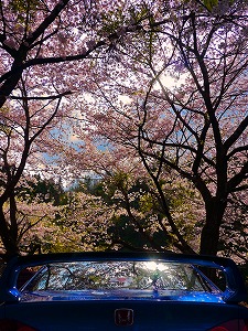 VrbNTYPE R