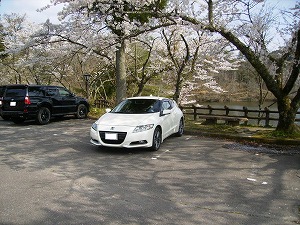 CR-Z