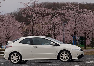 VrbNTYPE R