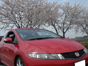 VrbNTYPE R