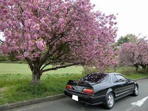 ���W�F���h