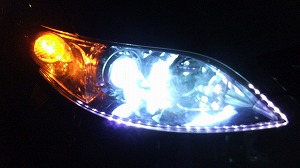 GVI