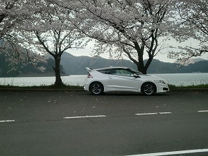 CR-Z