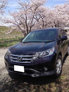 CR-V