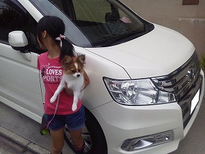 XebvS