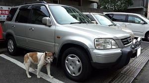 CR-V