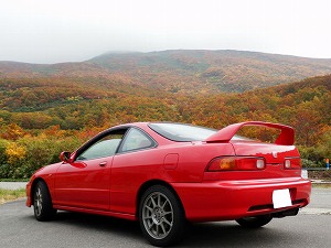 CeOTYPE R