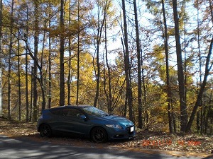 CR-Z