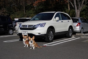 CR-V