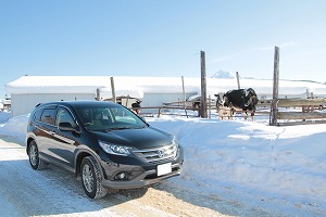 CR-V