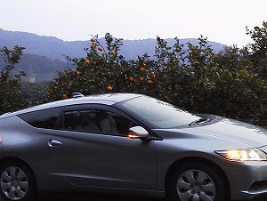 CR-Z