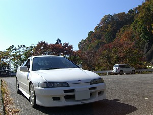 CeOTYPE R