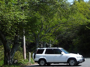 CR-V