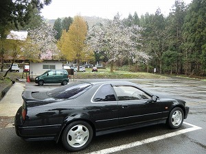 ���W�F���h