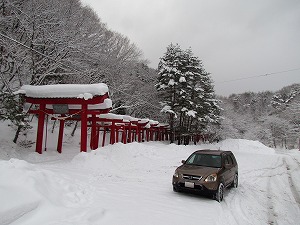 CR-V