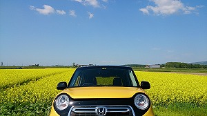 N-ONE