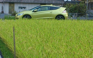CR-Z