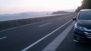 IfbZC