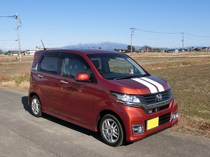 N-WGN