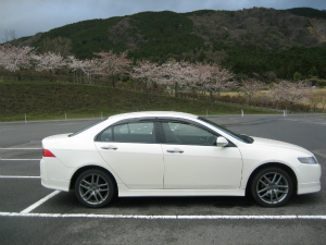 Honda ユーザーズボイス 愛車自慢と評価 アコードユーロr 桜満開 好燃費全開
