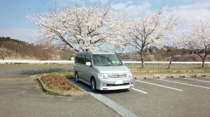 XebvS