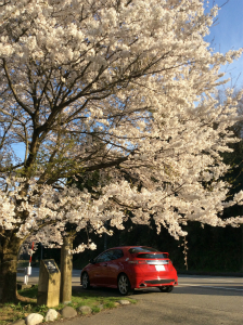 VrbNTYPE R