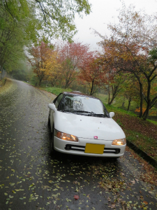 r[g